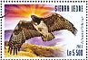 Martial Eagle Polemaetus bellicosus  2015 Eagles Sheet