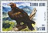 Wedge-tailed Eagle Aquila audax  2015 Eagles Sheet