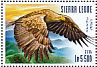 White-tailed Eagle Haliaeetus albicilla  2015 Eagles Sheet