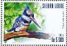 Belted Kingfisher Megaceryle alcyon  2015 Kingfishers Sheet