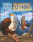 African Fish Eagle Icthyophaga vocifer  2015 Eagles  MS