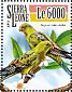 Regent Parrot Polytelis anthopeplus  2015 Parrots Sheet