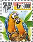 Blue-and-yellow Macaw Ara ararauna  2015 Parrots Sheet