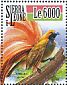 Goldie's Bird-of-paradise Paradisaea decora  2015 Birds of Paradise Sheet