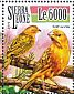 Saffron Finch Sicalis flaveola  2015 Tropical birds Sheet