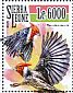 Red-crested Cardinal Paroaria coronata  2015 Tropical birds Sheet