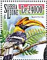 Great Hornbill Buceros bicornis  2015 Tropical birds  MS