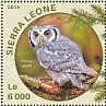 Southern White-faced Owl Ptilopsis granti  2016 Owls Sheet