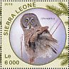 Great Grey Owl Strix nebulosa  2016 Owls Sheet