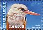 Grey-headed Kingfisher Halcyon leucocephala  2016 Kingfishers Sheet