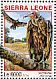 Hooded Vulture Necrosyrtes monachus  2016 South Luangwa national park 4v sheet