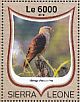 Yellow-headed Caracara Milvago chimachima  2016 Birds of prey Sheet