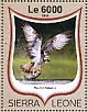 Western Osprey Pandion haliaetus  2016 Birds of prey Sheet