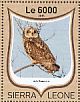 Short-eared Owl Asio flammeus  2016 Owls Sheet