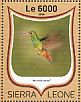 Rufous-tailed Hummingbird Amazilia tzacatl  2016 Hummingbirds Sheet
