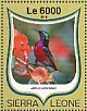 Purple-throated Sunbird Leptocoma sperata  2016 Sunbirds Sheet