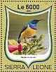 Variable Sunbird Cinnyris venustus  2016 Sunbirds Sheet