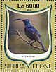 Loten's Sunbird Cinnyris lotenius  2016 Sunbirds Sheet