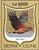 Kea Nestor notabilis  2016 Parrots Sheet