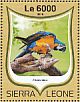 Blue-and-yellow Macaw Ara ararauna  2016 Parrots Sheet