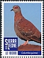 Speckled Pigeon Columba guinea  2018 Definitives 17v set