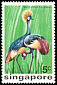 Grey Crowned Crane Balearica regulorum  1975 Birds 