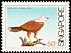 Brahminy Kite Haliastur indus  1984 Coastal birds 