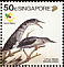 Striated Heron Butorides striata  1994 Herons 