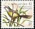 Yellow-bellied Prinia Prinia flaviventris  1998 Songbirds 