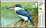 Collared Kingfisher Todiramphus chloris