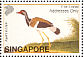 Red-wattled Lapwing Vanellus indicus  2002 William Farquhar collection Sheet