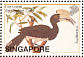 Oriental Pied Hornbill Anthracoceros albirostris  2002 William Farquhar collection Sheet