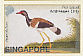 Red-wattled Lapwing Vanellus indicus  2002 William Farquhar collection Sheet, sa