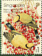 Black-naped Oriole Oriolus chinensis  2002 Birds Sheet