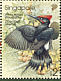 White-bellied Woodpecker Dryocopus javensis  2002 Birds Sheet