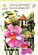 Black-naped Oriole Oriolus chinensis  2003 Garden city Booklet, sa