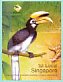 Oriental Pied Hornbill Anthracoceros albirostris