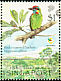 Red-crowned Barbet Psilopogon rafflesii