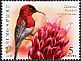 Crimson Sunbird Aethopyga siparaja  2008 Flora and fauna 