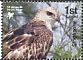 Changeable Hawk-Eagle Nisaetus cirrhatus  2016 Birds of prey 