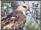 Changeable Hawk-Eagle Nisaetus cirrhatus