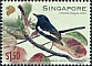 Oriental Magpie-Robin Copsychus saularis  2022 Joint issue with Bangladesh 