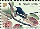 Oriental Magpie-Robin Copsychus saularis  2022 Joint issue with Bangladesh Sheet