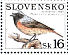 Common Redstart Phoenicurus phoenicurus  1999 Nature conservation - birds Sheet