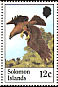 Sanford's Sea Eagle Icthyophaga sanfordi  1982 Sanfords Sea Eagle 