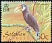 Blyth's Hornbill Rhyticeros plicatus