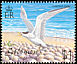 Greater Crested Tern Thalasseus bergii  2001 Birds definitives 