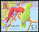 Moluccan Eclectus Eclectus roratus  2001 Birds definitives 