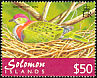 Superb Fruit Dove Ptilinopus superbus  2001 Birds definitives 