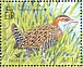 Buff-banded Rail  Hypotaenidia philippensis